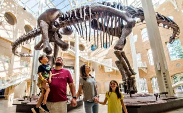 Be a Tourist in Your Own Backyard This Summer