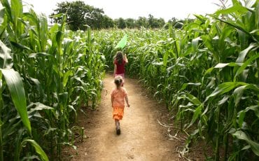 20+ Corn Mazes & Pumpkin Patches Near Atlanta