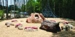Caney Creek Preserve Playground